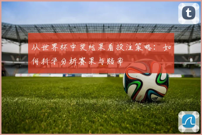 从世界杯中奖结果看投注策略：如何科学分析赛果与赔率